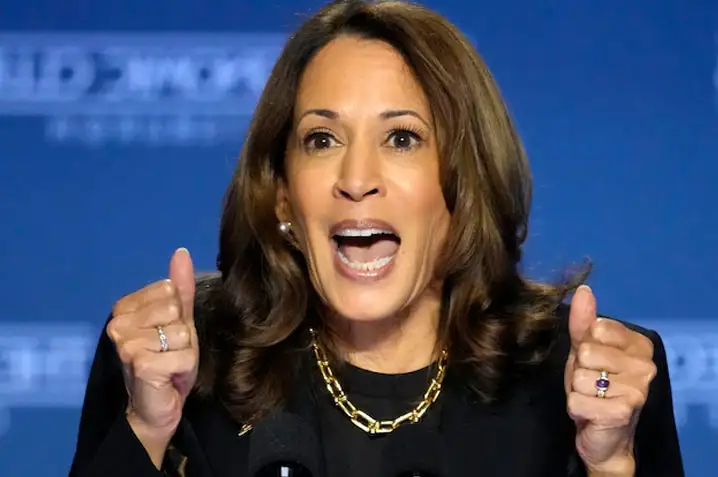 Make no mistakes, Kamala Harris warns